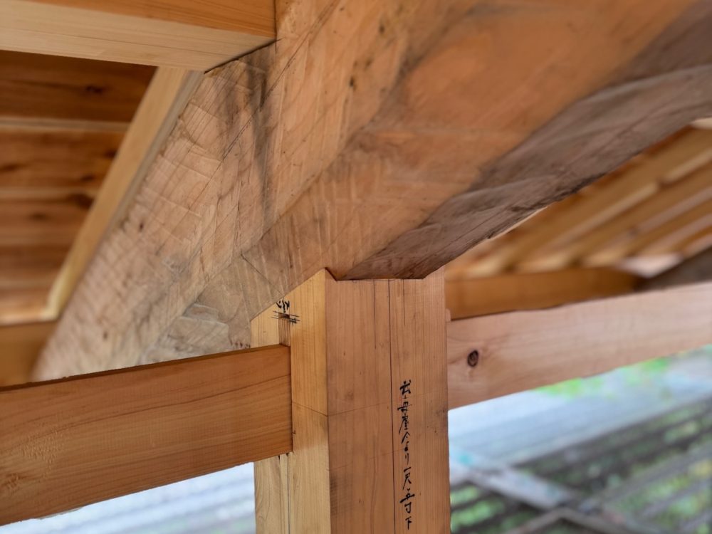 Carpentry School Day 8