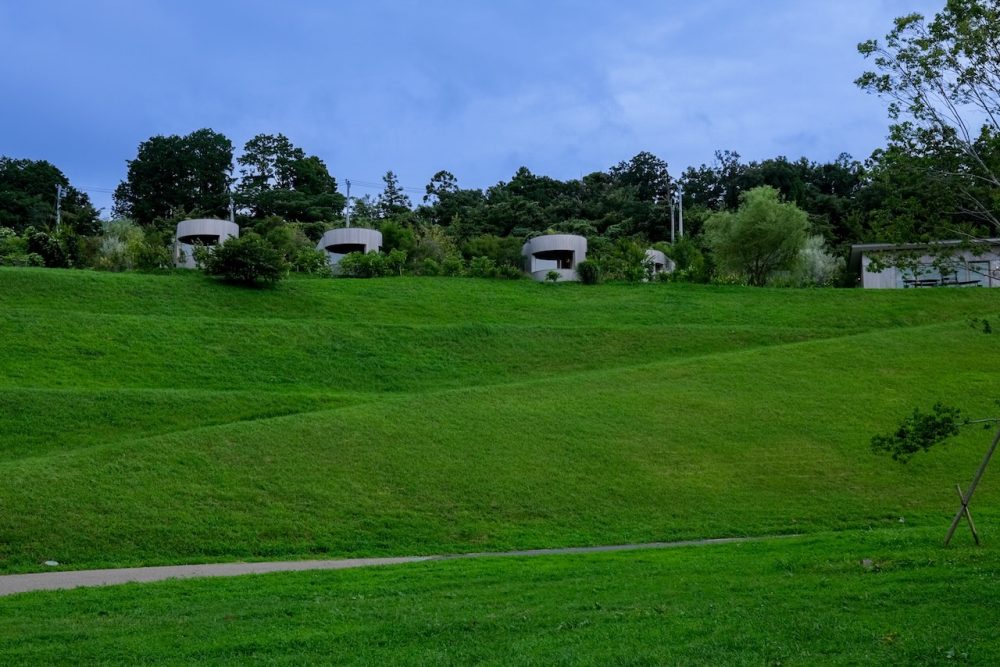 久々のクルックフィールズ